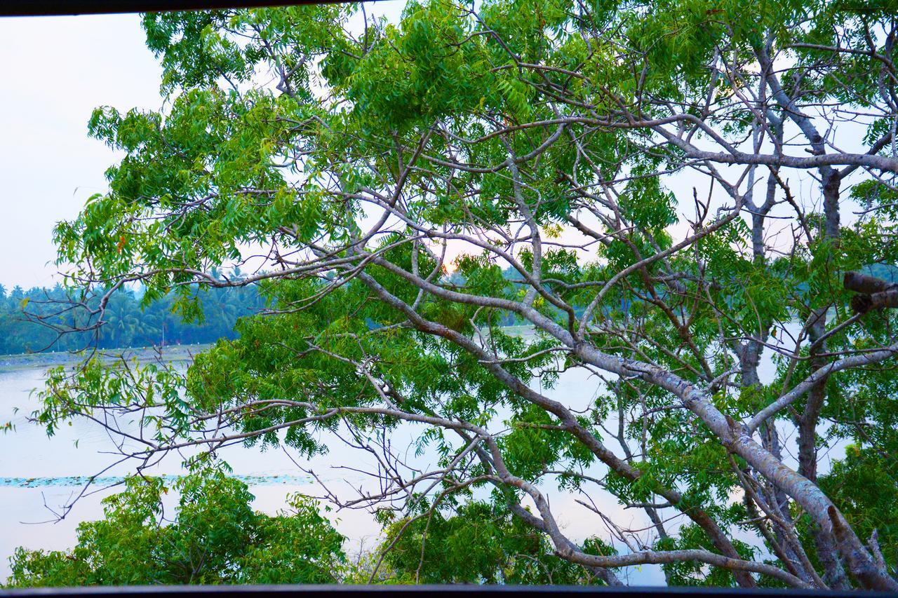 Diya Dahara Lake Resort Yala Extérieur photo